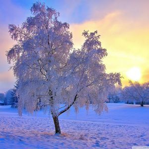 Meet your Posher, Timothy